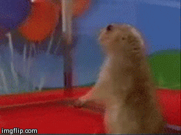 Animated GIF of Dramatic Chipmunk, who is actually a prairie dog but never mind.